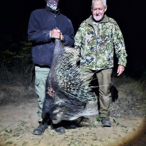 Porcupine Hunt South Africa