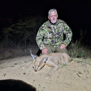 Caracal Hunt South Africa