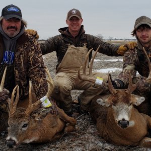 Whitetail Deer Hunting Iowa