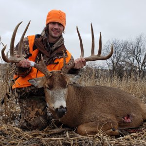 Whitetail Deer Hunting Iowa