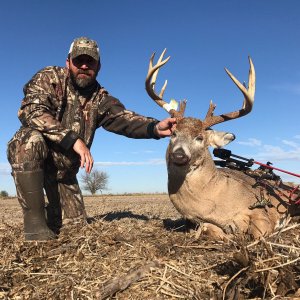 Whitetail Deer Bow Hunting Iowa