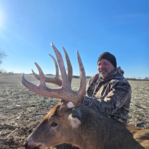 Whitetail Deer Hunting Iowa