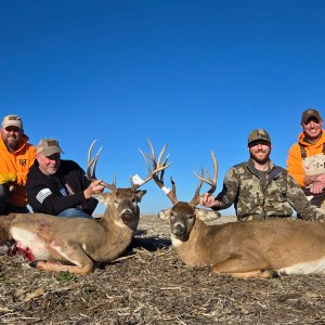 Whitetail Deer Hunting Iowa