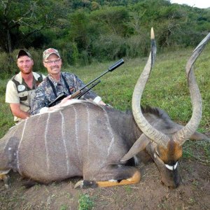 Nyala Hunt Eastern Cape South Africa