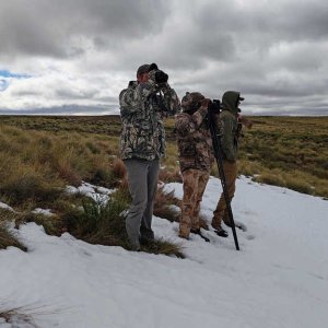 Media 'Hunting in Snow Eastern Cape South Africa' in category 'Nature & Wildlife Africa'