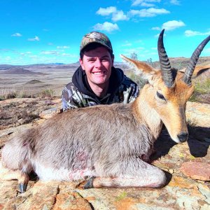 Reedbuck Hunt Eastern Cape South Africa