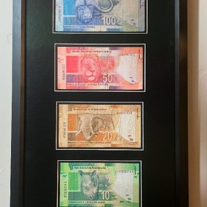 South African Big 5 Currency