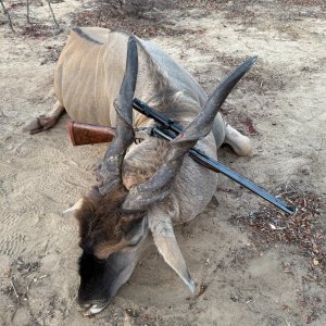 Eland Hunting