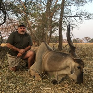 Livingstone Eland Hunt Zambia