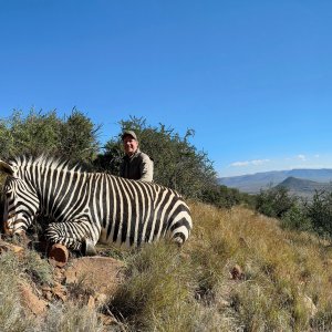 Zebra Hunt South Africa