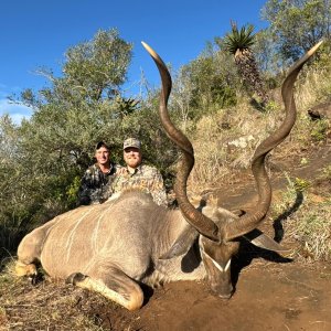 Kudu Hunt Eastern Cape South Africa