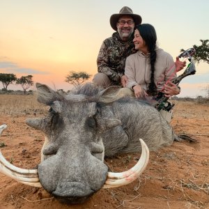 Media 'Warthog Bow Hunt South Africa' in category 'Bow Hunting Africa'