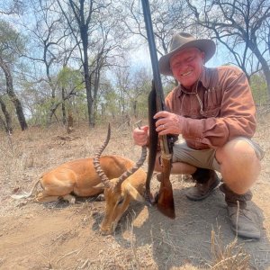 Media 'Impala Hunt Zimbabwe' in category 'Hunting Africa'