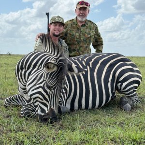 Zebra Hunt Mozambique