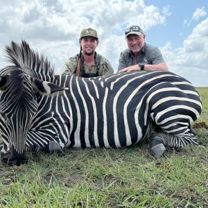 Zebra Hunt Mozambique