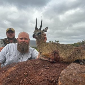 Hunting Klipspringer