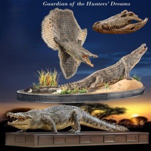 Crocodile Taxidermy