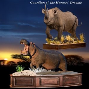 Rhino & Hippo Full Mounts Taxidermy