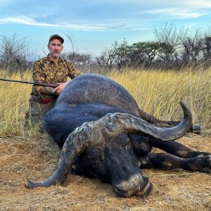 Buffalo Hunting South Africa