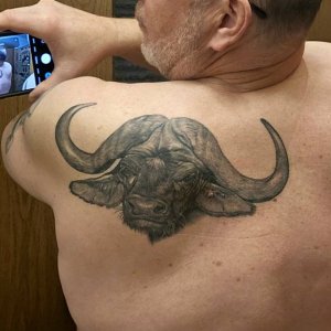 Media 'Buffalo Tatoo' in category 'Other'