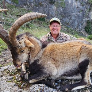 Ibex Hunting Spain