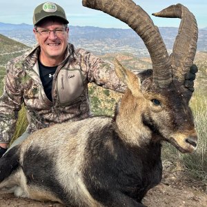 Ibex Hunting Spain