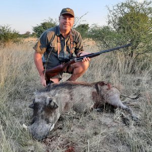 Warthog Hunt South Africa