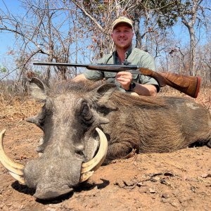 Warthog Hunt Niassa Mozambique