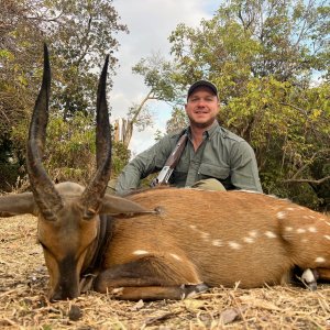 Bushbuck Hunt Niassa Mozambique