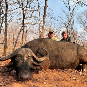 Buffalo Hunt Niassa Mozambique