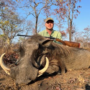 Warthog Hunt Niassa Mozambique