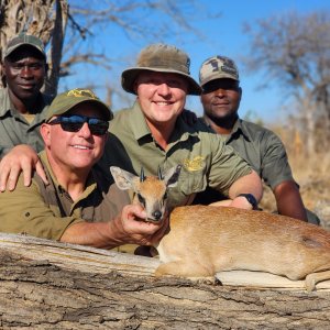 Sharpe's Grysbok Hunt Mozambique