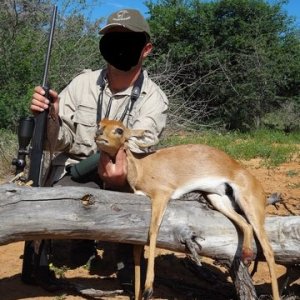 Steenbok Hunt