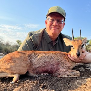 Steenbok South Africa Hunt