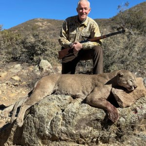 Mountain Lion Hunt  Arizona