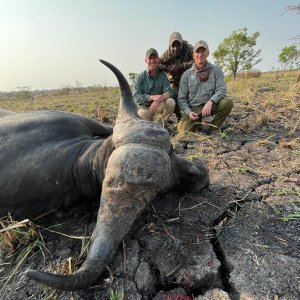 Buffalo Hunt Tanzania