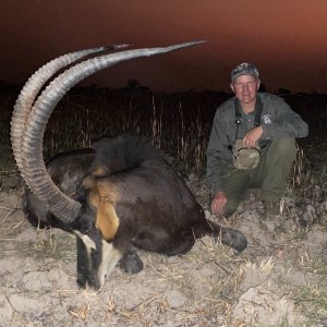 Sable Hunt Zambia