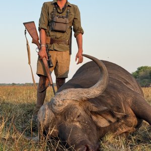 Buffalo Hunt Mozambique