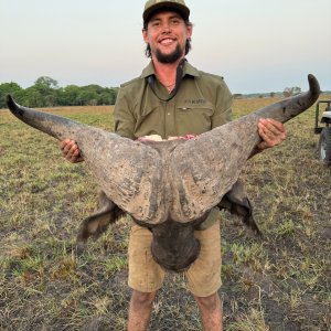 Buffalo Hunt Mozambique