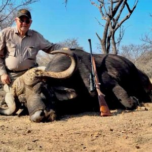 Media 'Buffalo Hunt South Africa' in category 'Hunting Africa'