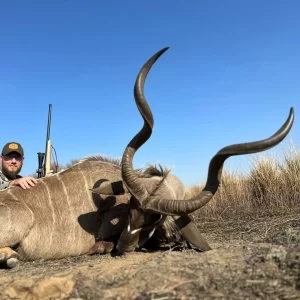 Kudu Hunt South Africa