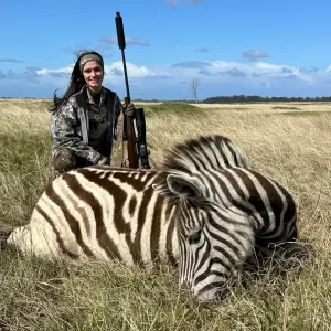 Zebra Hunt South Africa