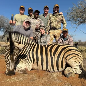 Zebra Hunt South Africa