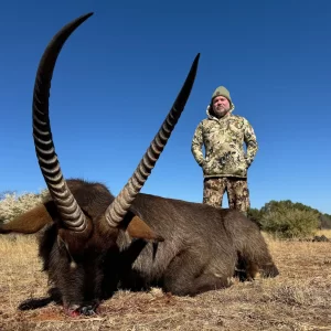 Waterbuck Hunt South Africa