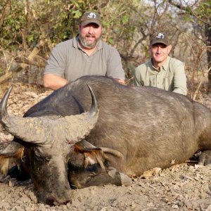 Media 'Hunting Western Buffalo Cameroon' in category 'Hunting Africa'