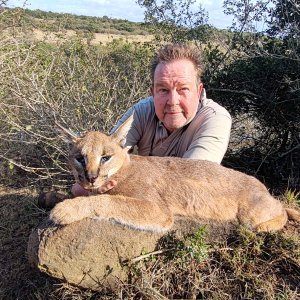 Caracal Hunting Eastern Cape South Africa