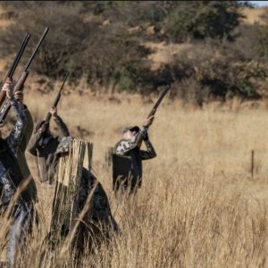 Wild Wingshooting South Africa