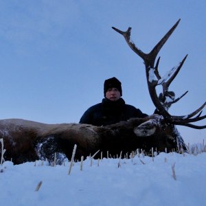 Elk Hunting