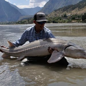 Sturgeon Fishing British Columbia