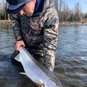 Steelhead Fishing British Columbia